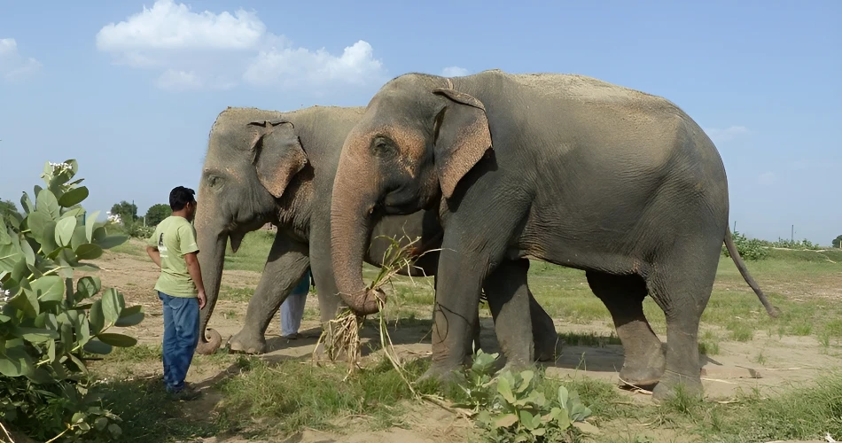 10 Best Attractions in Agra