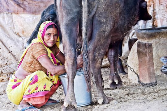 Tour image 7