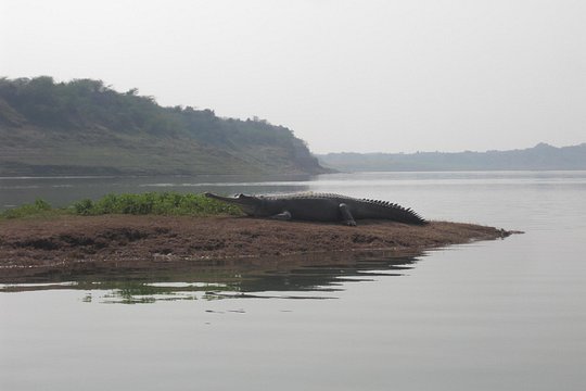 Tour image 1